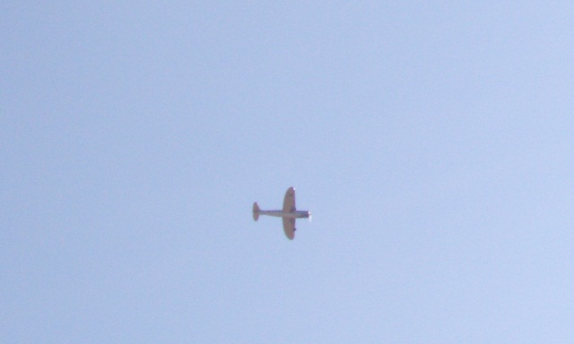 P-47 em voo, lamento pela minha câmera.