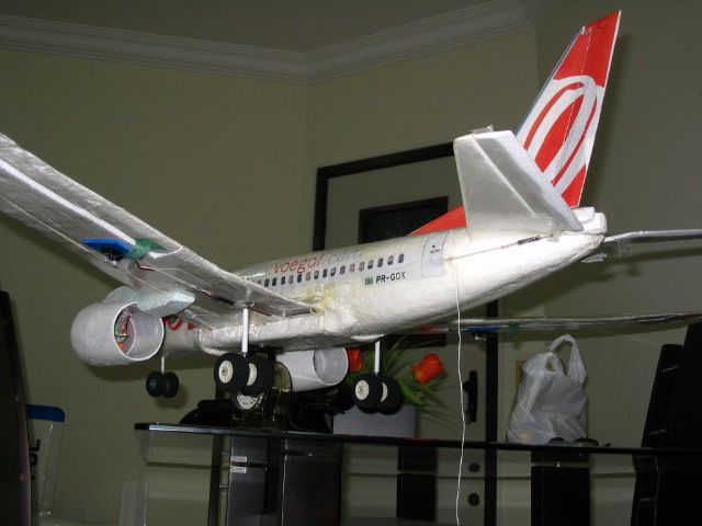 737 bi-plano e herculino 011.jpg